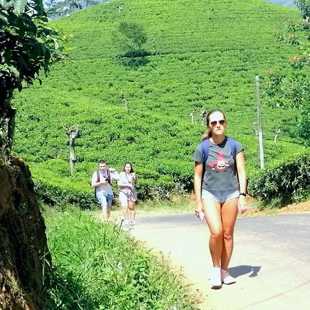 Ella Mount Villa Bagian luar foto