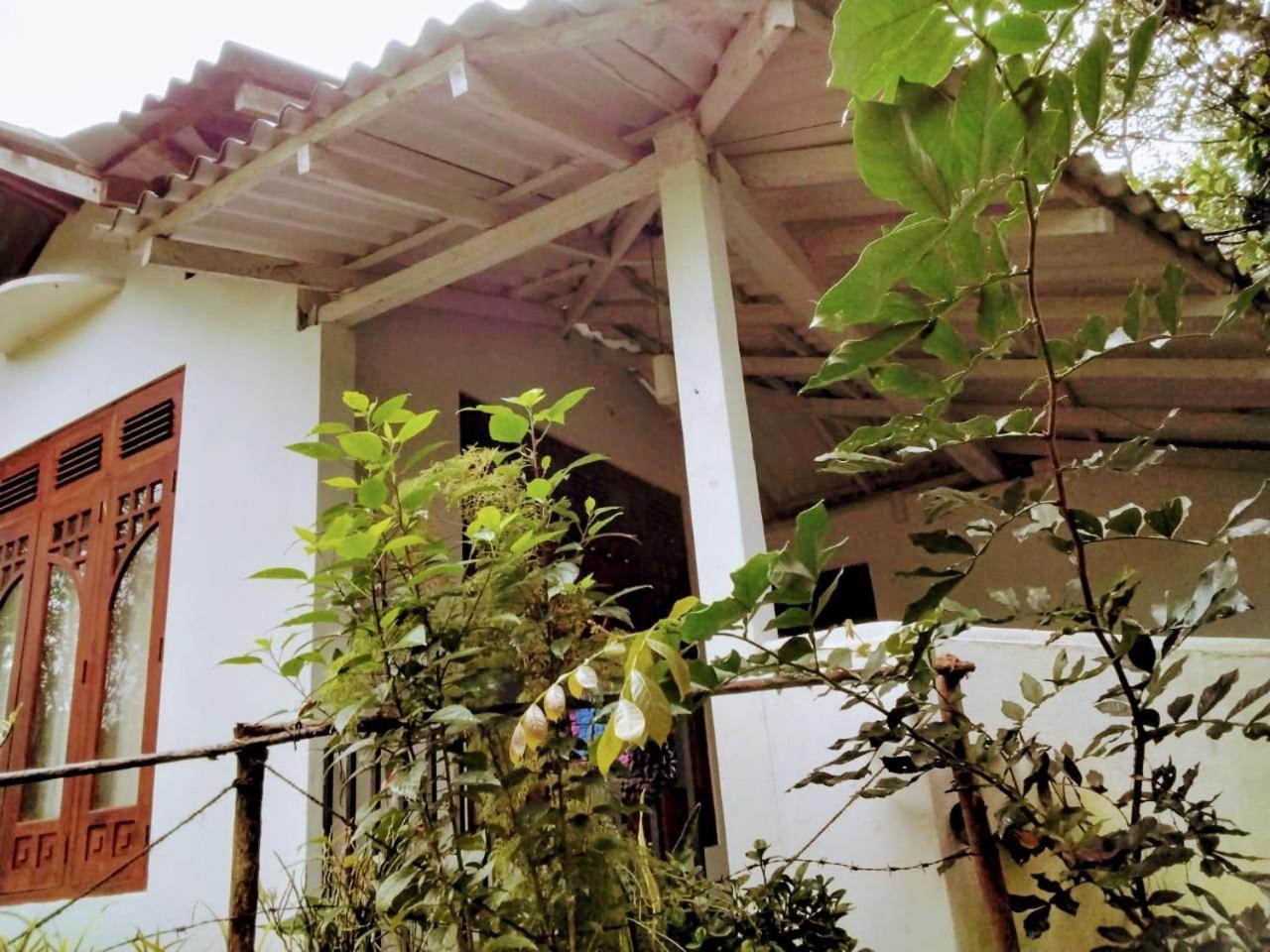 Ella Mount Villa Bagian luar foto