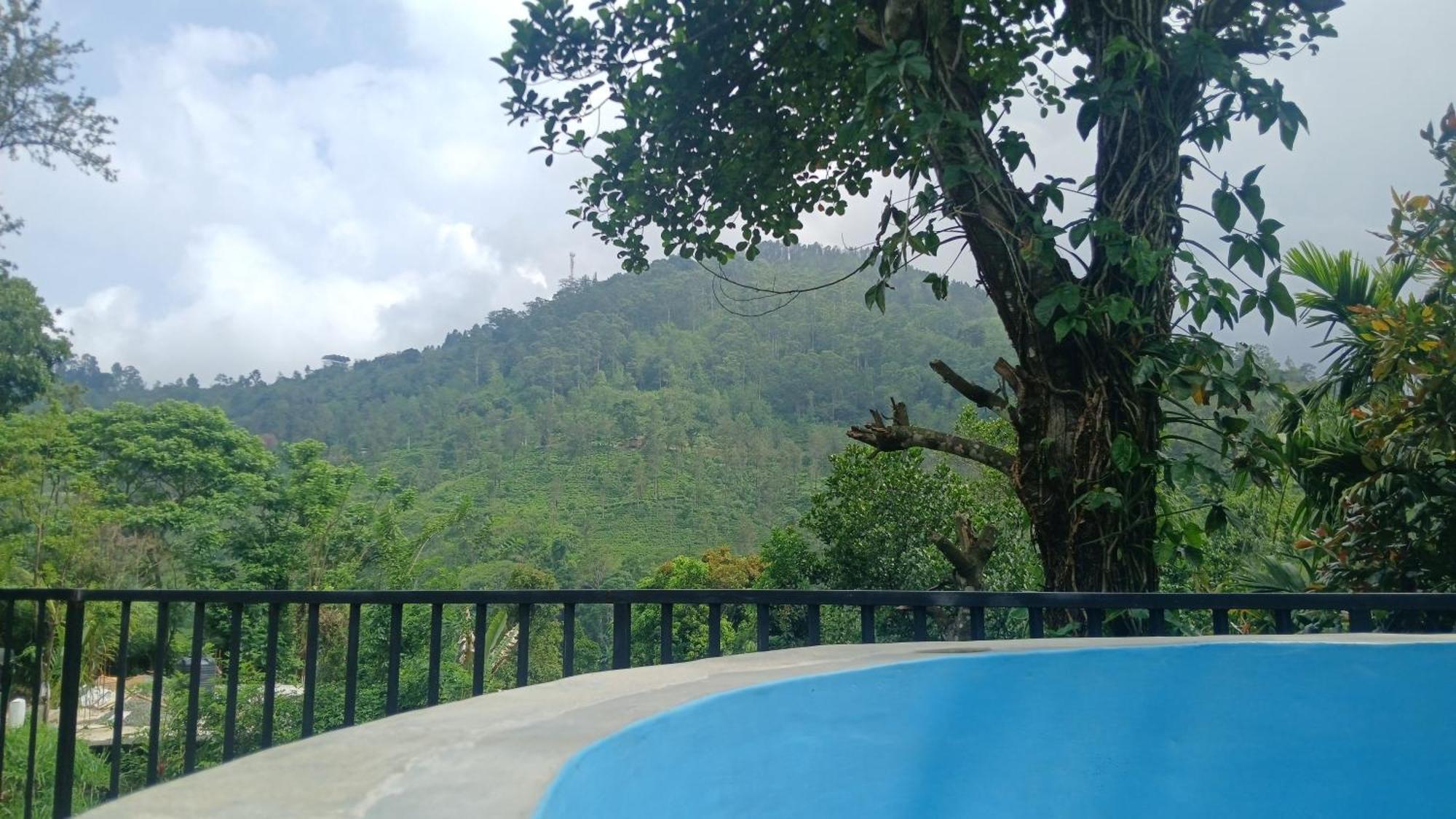 Ella Mount Villa Bagian luar foto