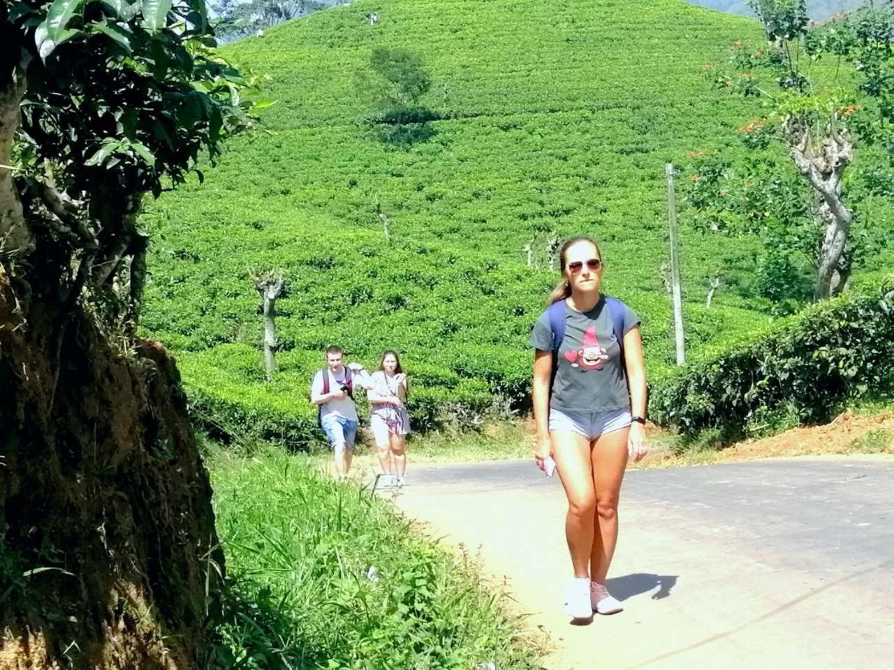 Ella Mount Villa Bagian luar foto